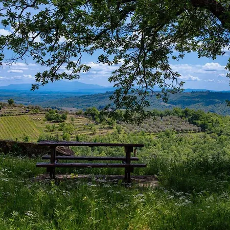Casetta Con Vista *